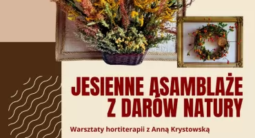 Jesienne asamblaże z darów natury. Zapraszamy na warsztaty hortiterapii z Anną Krystowską
