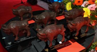 Za nami jubileuszowa gala wręczenia Zambrowskich Żubrów [foto]